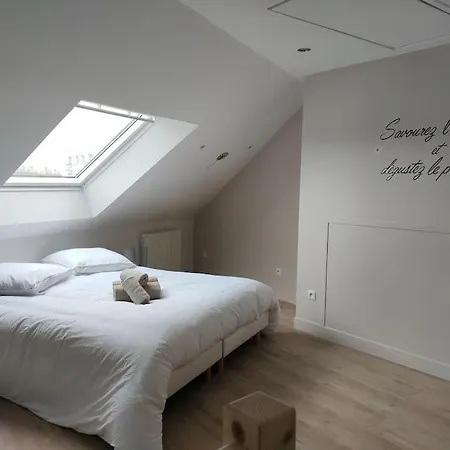 Duplex De Caractere. 아파트